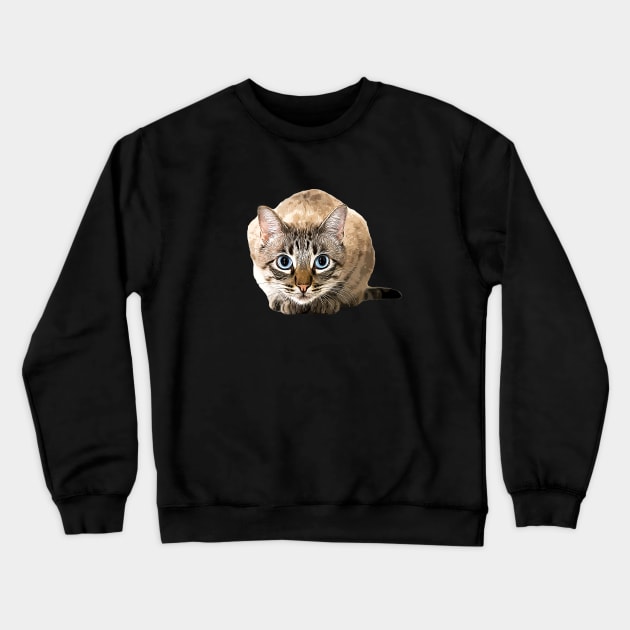 Bengal Cat Snow Mink Beauty Crewneck Sweatshirt by ElegantCat